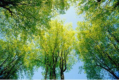 《最后的守护者》开发商暗示新作 将于2023年发布